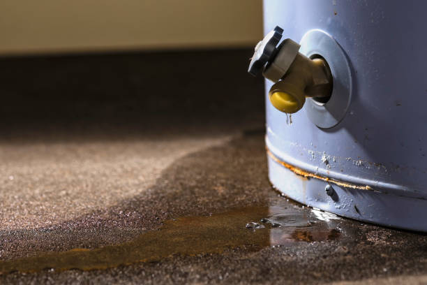 Best Carpet water damage restoration  in Phoenix, IL