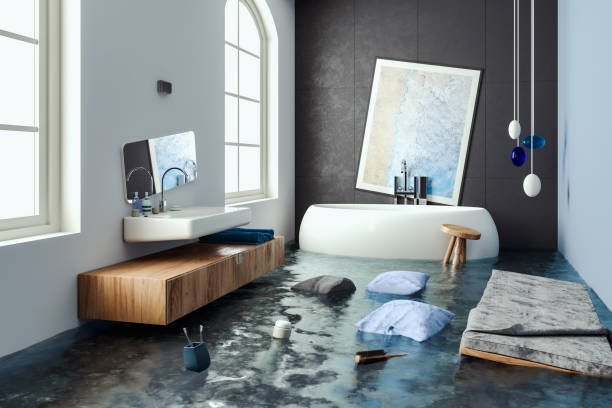 Best Ceiling water damage repair  in Phoenix, IL