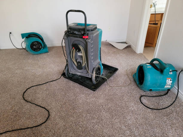Best Water damage cleanup near me  in Phoenix, IL