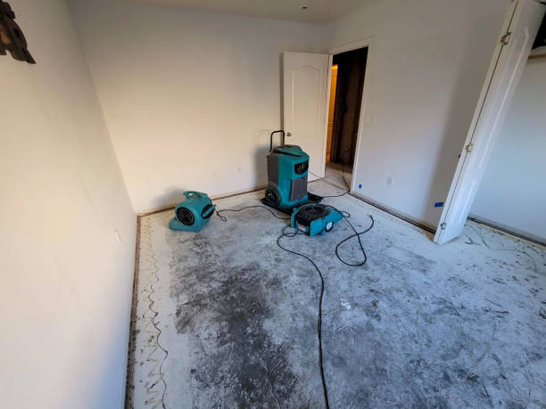 Best Water damage restoration near me  in Phoenix, IL