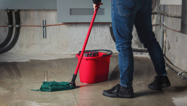 Best Water damage cleanup near me  in Phoenix, IL