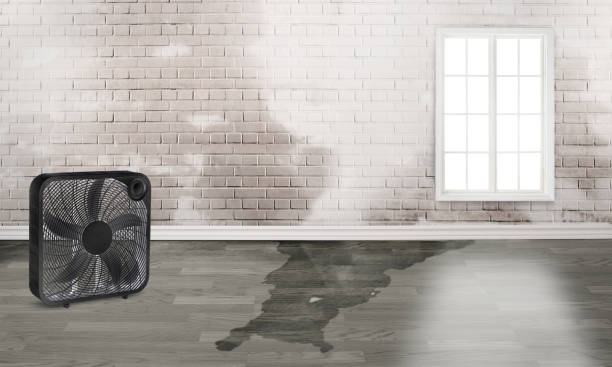 Best Emergency water damage restoration  in Phoenix, IL