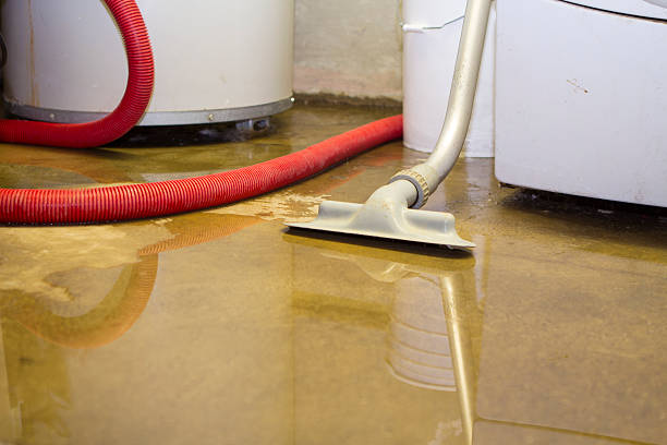Best Flooded house restoration  in Phoenix, IL