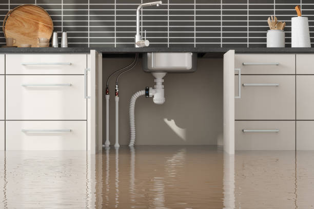 Best Flood damage cleanup  in Phoenix, IL